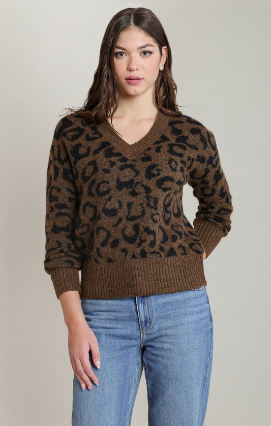 Leopard V Neck Sweater
